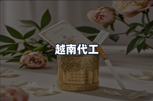 越南代工